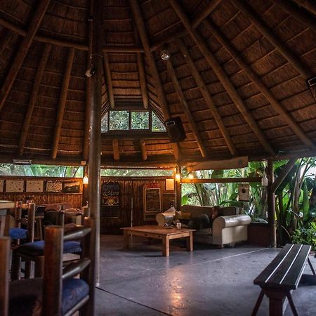 Fairy Knowe Backpackers Lodge 윌더니스 외부 사진