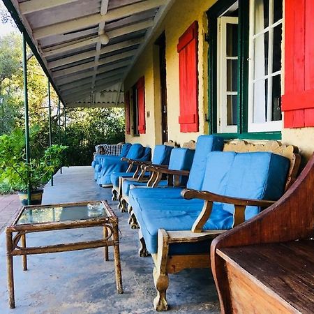 Fairy Knowe Backpackers Lodge 윌더니스 외부 사진