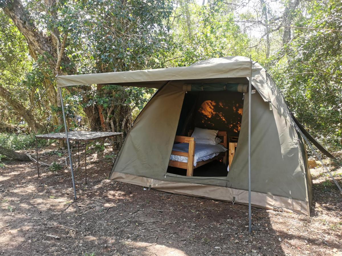 Fairy Knowe Backpackers Lodge 윌더니스 외부 사진