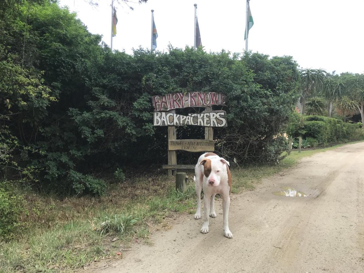 Fairy Knowe Backpackers Lodge 윌더니스 외부 사진