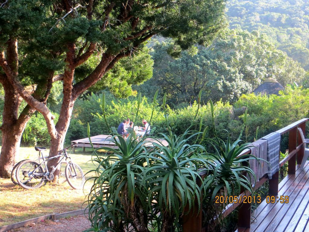 Fairy Knowe Backpackers Lodge 윌더니스 외부 사진