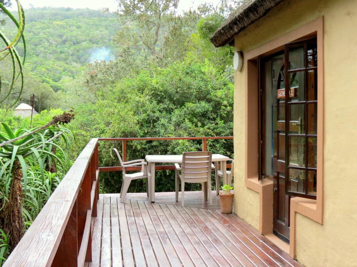 Fairy Knowe Backpackers Lodge 윌더니스 외부 사진